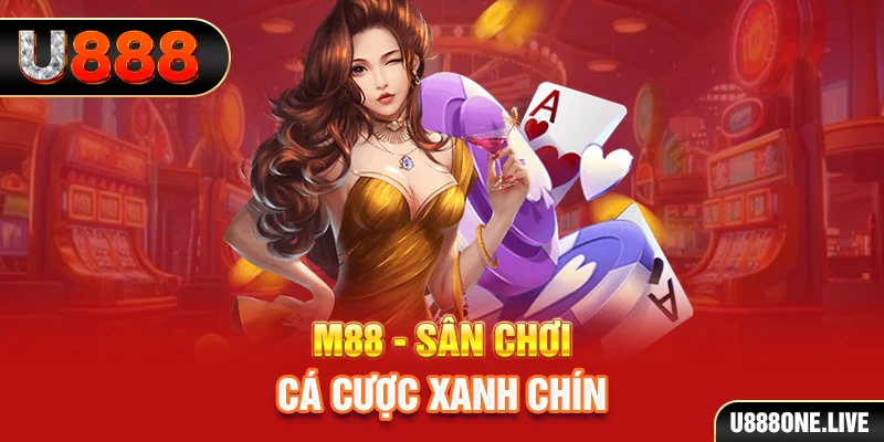 i9bet150 gà chọi cậu thanh