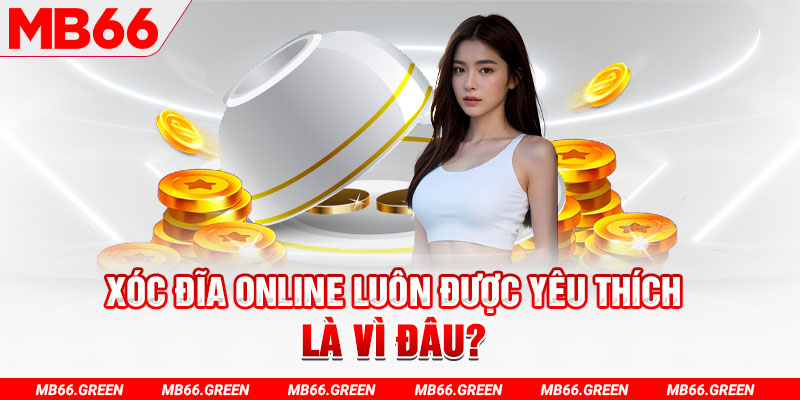 i9bet150 đá gà thomo trực tiếp hôm nay