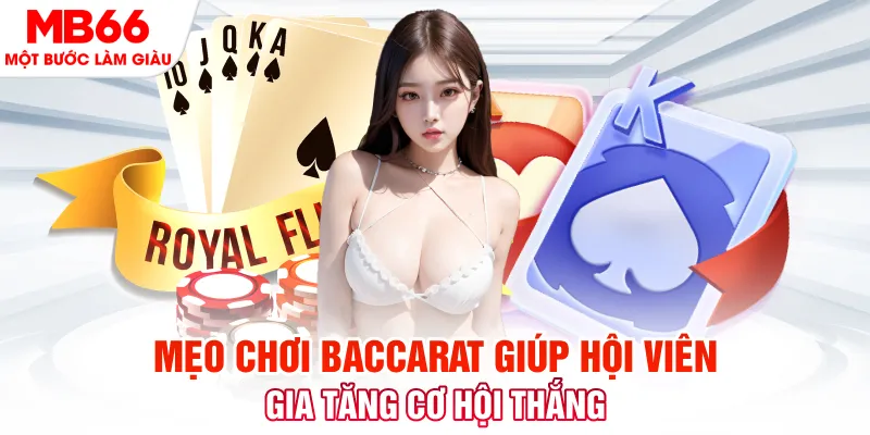i9bet150 đá gà 88