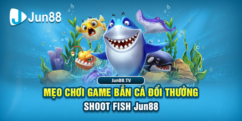 tai game danh bai bigkool ve may tinh