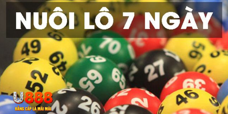 i9bet150 IM Thể Th