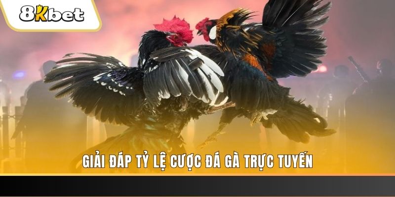 i9bet150 xổ số ba đài