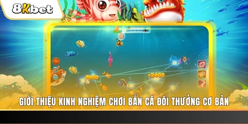 i9bet150 8 bí ẩn chơi nổ hũ ít ai biết