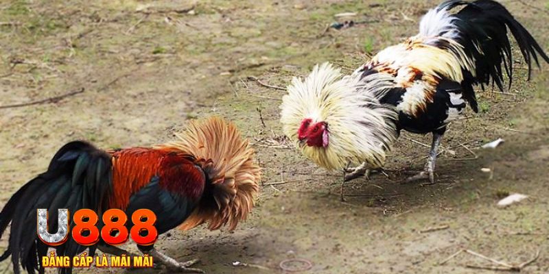 i9bet150 game nổ hũ là gì