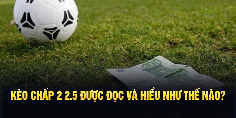 i9bet150 đá gà thomo