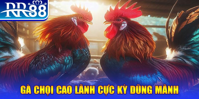 i9bet150 natural” trong baccarat nghĩa là gì？